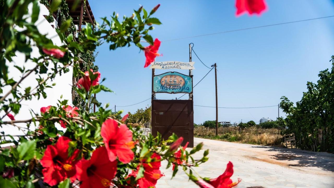 Appartamento Maestralia Skyros Esterno foto