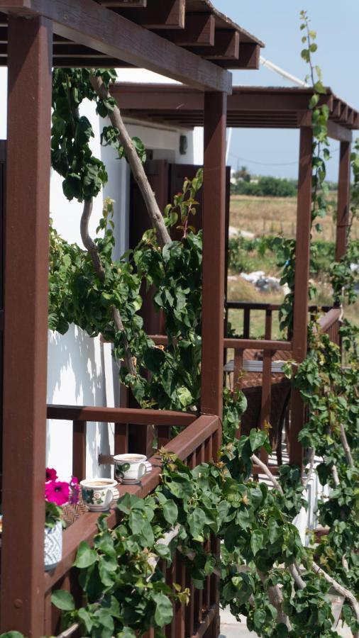 Appartamento Maestralia Skyros Esterno foto